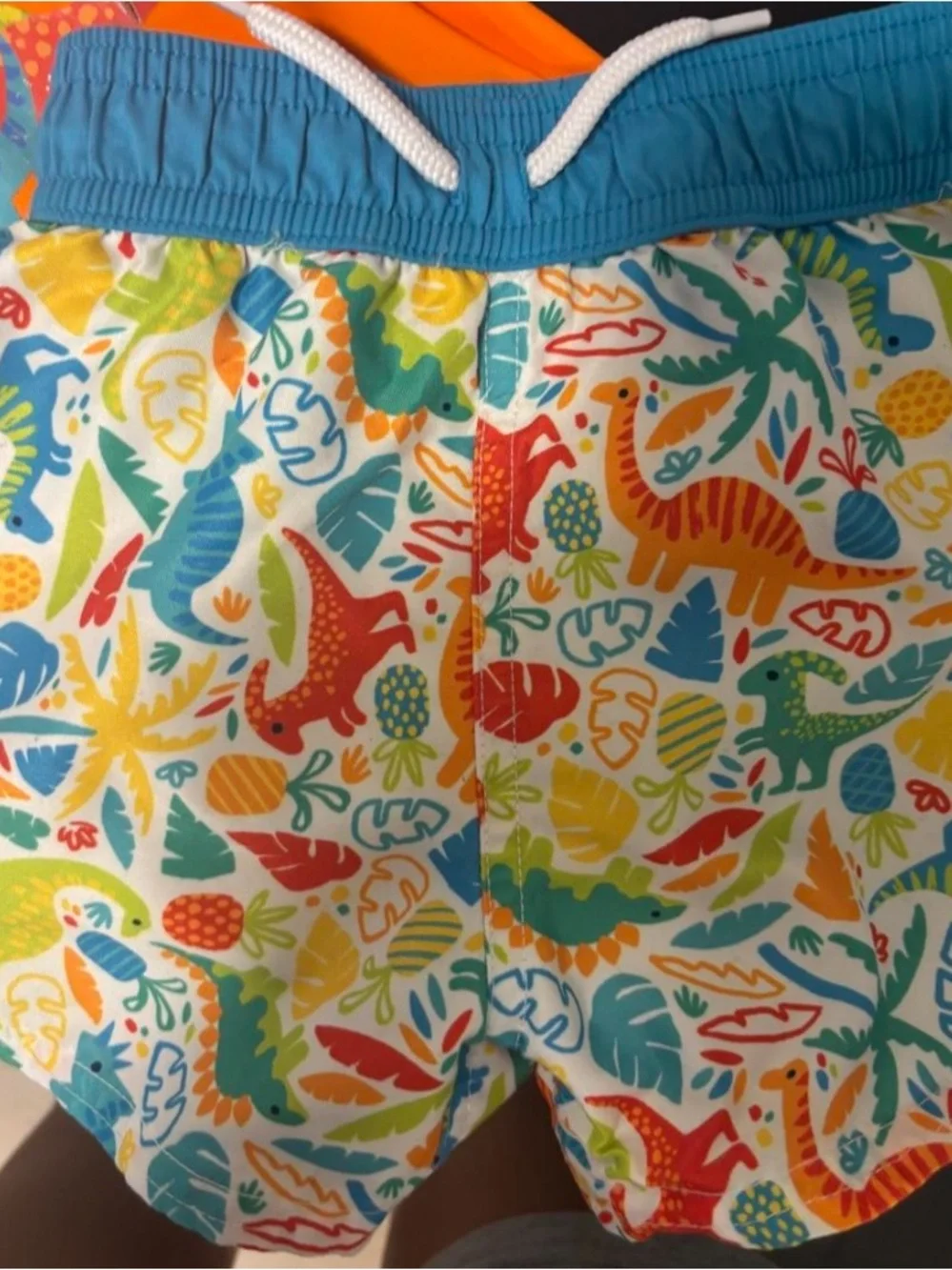 Flapdoodles Orange & Teal Dinosaur Bib and Swim Shorts Set